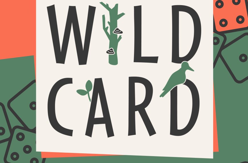 Wildcard podcast logo