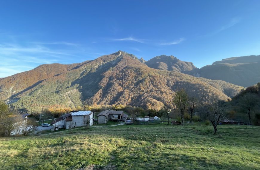 Rewilding of former agricultural land in Friuli Venezia Giulia